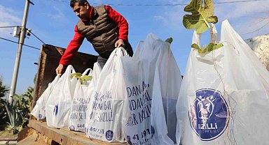 Nazilli Belediyesi'nin dağıttığı binlerce ağaç fidanı kısa sürede tükendi