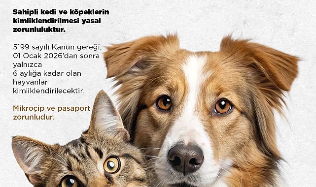 Niğde Belediyesi'nden kedi ve köpek sahiplerine uyarı: Son başvuru 31 Aralık 2025