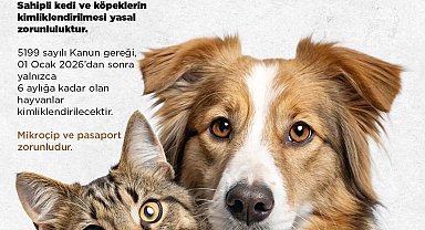 Niğde Belediyesi'nden kedi ve köpek sahiplerine uyarı: Son başvuru 31 Aralık 2025