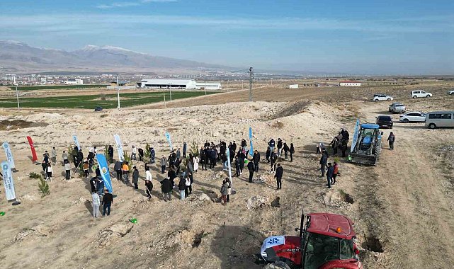 Niğde'de bal ormanı için 5 bin fidan toprakla buluştu