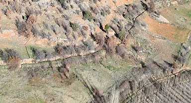 Nurhak'ta yaban domuzu avı yapıldı