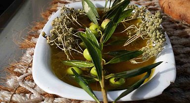 Oleolog Dr. Kıvrak: "Erken ve olgun hasat zeytinyağları farklı içeriklere sahiptir"