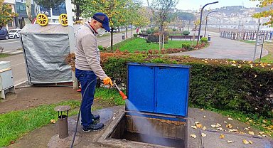 Ordu'da haşerelere karşı kışlak çalışması başlatıldı