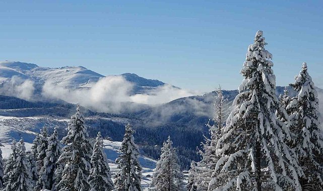 Ordu'da kartpostallık kar manzaraları
