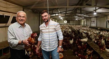 Ordu'da yumurta üretimi, verilen destekler ile zarardan kara dönüştü: İlin ekonomisine yıllık 500 milyon lira gelir
