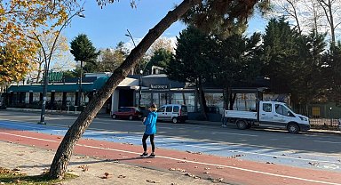 Ordu'da tehlike arz eden ağaçlar için güvenlik çalışması