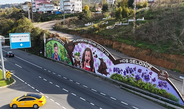 Ordu'nun duvarları sanatla buluşuyor