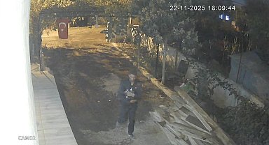 Osmaniye'de kümeslerden tavuk çalan zanlı tutuklandı