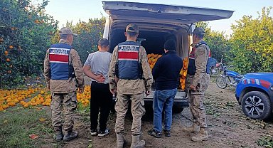 Portakal hırsızları suçüstü yakalandı