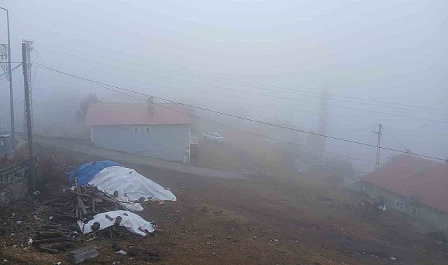Posof'ta yoğun sis etkiliyor oluyor