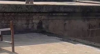 "İşten atıldım" diyerek Balıklıgöl'e atladı