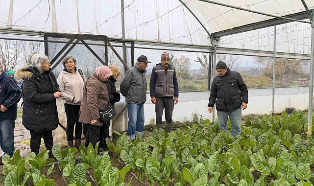 "Saygınlar Kulübü" üyeleri serada hasat yaptı