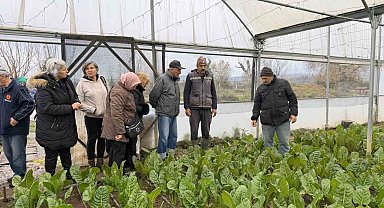 "Saygınlar Kulübü" üyeleri serada hasat yaptı