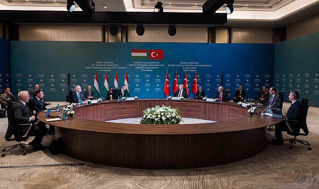"Türkiye-Macaristan Ortak İstişare Mekanizması Birinci Toplantısı" İstanbul'da başladı