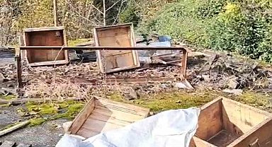 Rize'de ayının kovanlarına saldırdığı üreticiden "Ben şimdi ne edeyim?" tepkisi