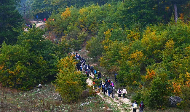 Sakarya'da doğayla iç içe sonbahar