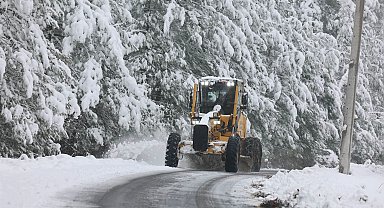 Sakarya'da kar alarmı