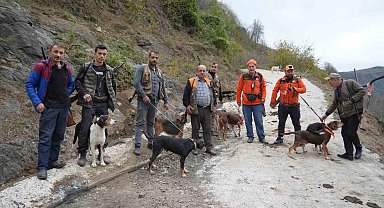 Samsun'da domuz alarmı: Avcılığa "takoz" engeli