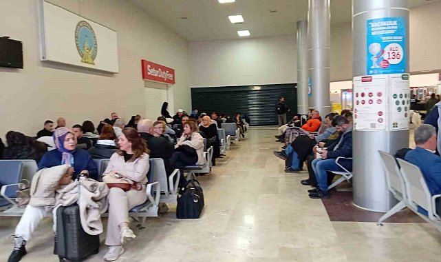 Samsun'da yolcu uçağı martı sürüsüne çarptı