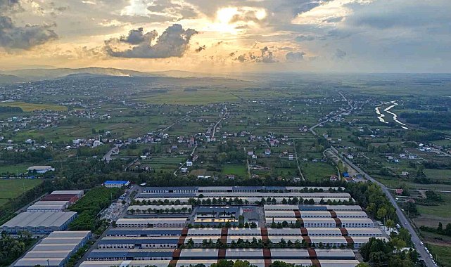 SAMÜ, 7 alanda ilk 20 üniversite arasında yer aldı