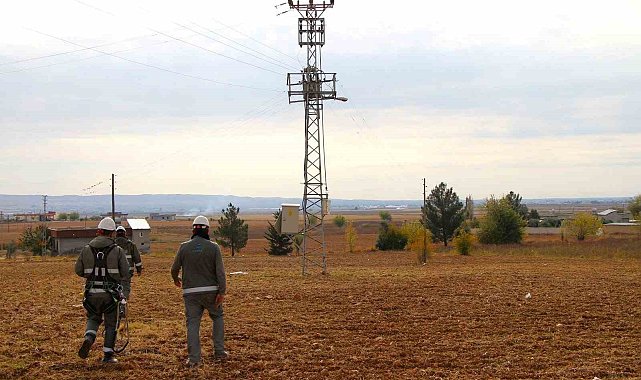 Şanlıurfa'da 2 bin 626 kaçak elektrik kullanan abone tespit edildi