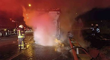 Şanlıurfa'da beyaz eşya yüklü tır alev alev yandı