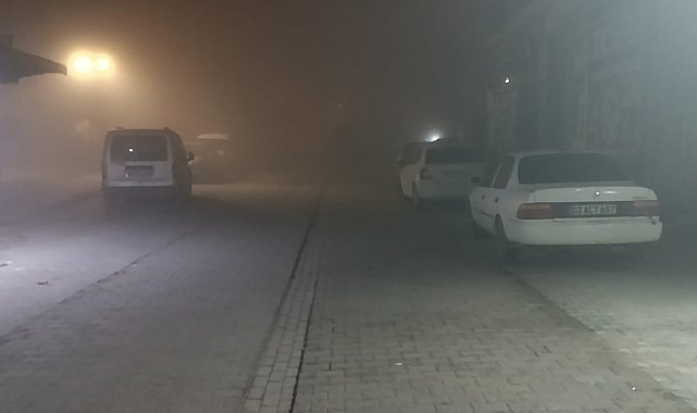 Şanlıurfa'da gece boyu yoğun sis etkili oldu