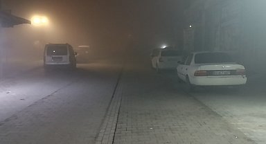 Şanlıurfa'da gece boyu yoğun sis etkili oldu