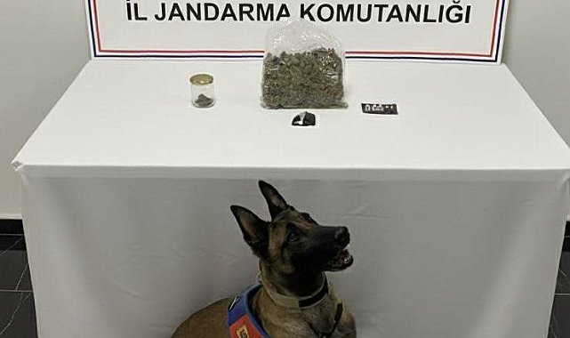 Şanlıurfa'da uyuşturucu operasyonu: 1 gözaltı