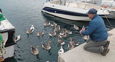 Şarköy'ün maskotu 'Vakvaklar'