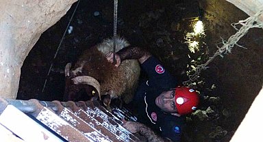 Seslerini küçük çocuk duydu, çalındı sanılan 2 koyun düştükleri 5 metrelik kuyudan kurtarıldı