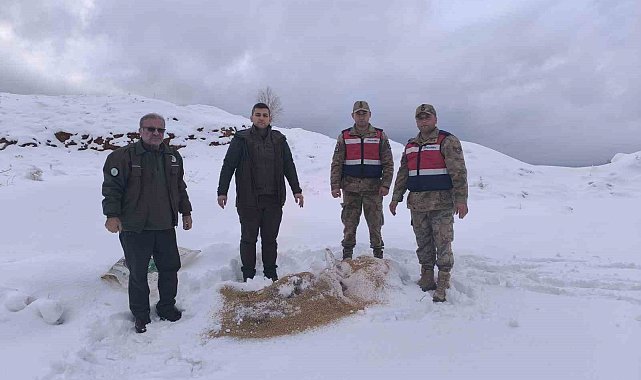Siirt'te yaban hayvanlarına 750 kilo besi yemi bırakıldı