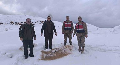 Siirt'te yaban hayvanlarına 750 kilo besi yemi bırakıldı