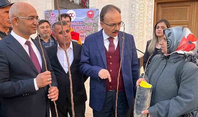 Siirtli çiftçilere 25 bin fıstık ve 4 bin 300 adet Trabzon Hurması fidanı dağıtıldı