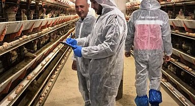 Simav'da ticari yumurtacı tavukçuluk işletmesinde ilk resmi denetim