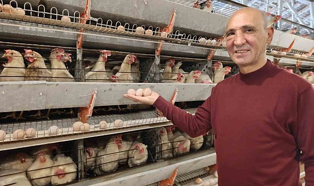 Simav'ın Kuşu beldesinde günlük 15 bin yumurta üretimi