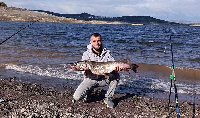 Sındırgı'da dev sazan balığı yakalandı