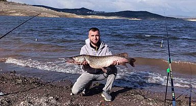 Sındırgı'da dev sazan balığı yakalandı