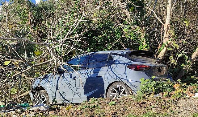 Sinop'ta kontrolden çıkan otomobil ağaçlık alana devrildi