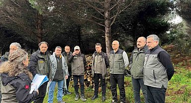 Sinop'ta ormancılık faaliyetleri