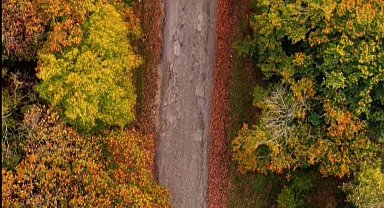 Sinop'ta sonbahar güzelliği