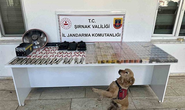 Şırnak'ta jandarmadan kaçakçılık operasyonu: 27 milyon liralık kaçak malzeme ele geçirildi
