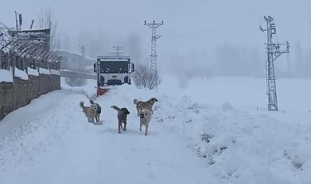 Şırnak'ta kapalı köy yolları dozerlerle açılıyor