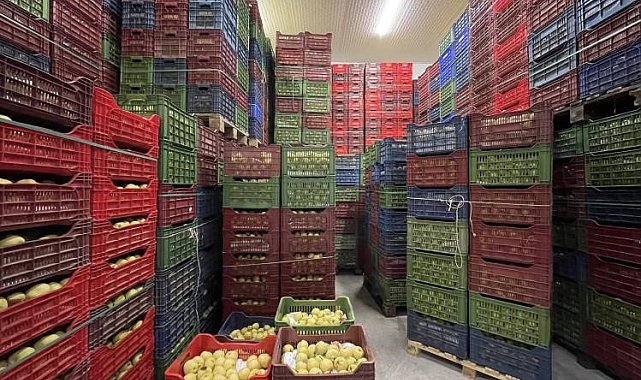 Soğuk Hava Deposu tam kapasite hizmet veriyor