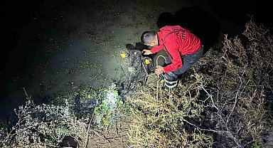 Su kanalına düşen buzağıyı itfaiye kurtardı