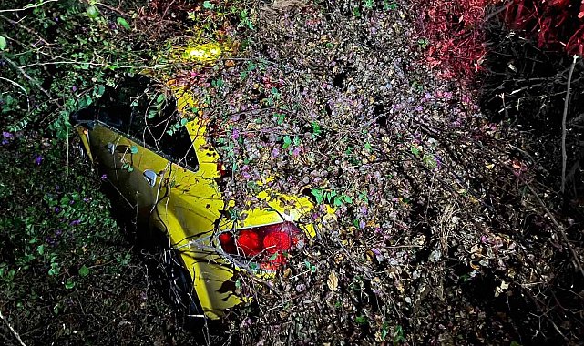 Sürücüsünün içinde olduğu otomobilin üzerine ağaç devrildi