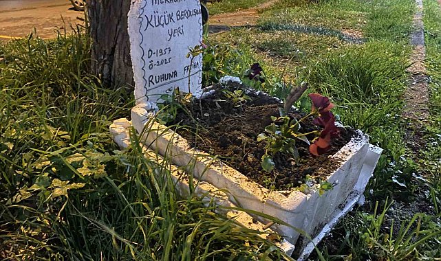Taksicilerden vefa...Ölen muhabbet kuşları için mini mezar yaptılar