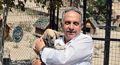 Talas Patievi Doğal Yaşam Alanı 500 can için seçkin bir yuva