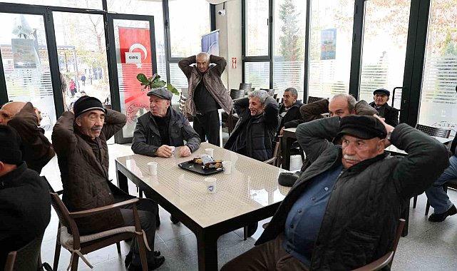 Talas'ın çınarları hayata hareket ediyor