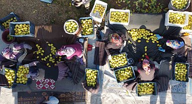 Tarım-ÜFE yıllık yüzde 31,45 arttı, aylık yüzde 1,56 azaldı